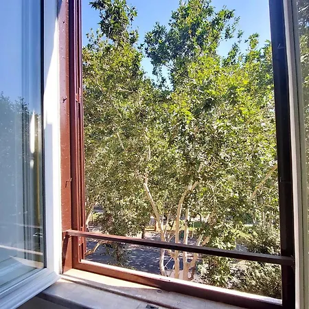 Carlo Felice דירה *